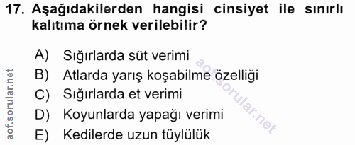 17. soru: Aşağıdakilerden hangisi cinsiyet ile sınırlı kalıtıma örnek verilebilir? A) Sığırlarda süt verimi B) . Atlarda yarış…