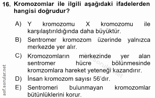 16. soru: Kromozomlar ile ilgili aşağıdaki ifadelerden hangisi doğrudur? A) Y kromozomu X kromozomu ile karşılaştırıldığında da…