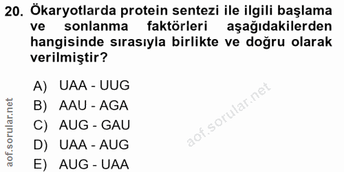 20. soru: Ökaryotlarda protein sentezi ile ilgili başlama ve sonlanma faktörleri aşağıdakilerden hangisinde sırasıyla birlikte…