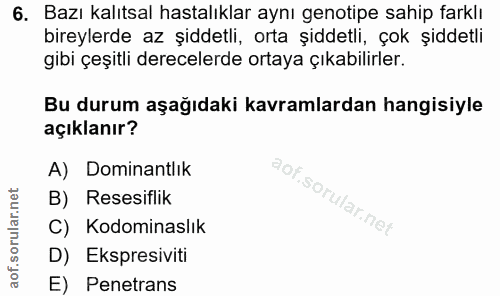 6. soru: Bazı kalıtsal hastalıklar aynı genotipe sahip farklı bireylerde az şiddetli, orta şiddetli, çok şiddetli gibi çeşitli…