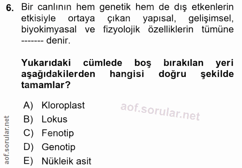 6. soru: Bir canlının hem genetik hem de dış etkenlerin etkisiyle ortaya çıkan yapısal, gelişimsel, biyokimyasal ve fizyolojik…