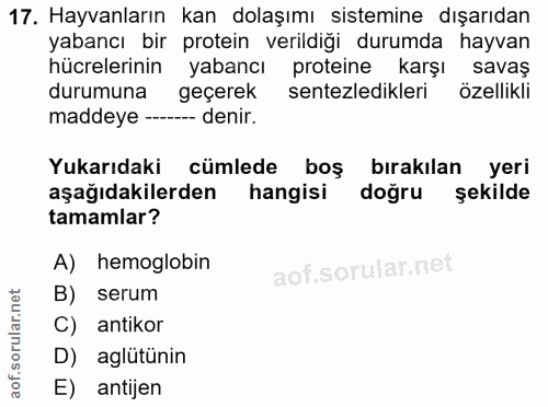 17. soru: Hayvanların kan dolaşımı sistemine dışarıdan yabancı bir protein verildiği durumda hayvan hücrelerinin yabancı protei…