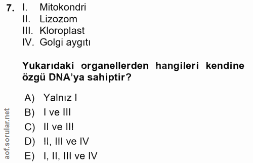7. soru: 1. Mitokondri Il. Lizozom IlI. Kloroplast IV. Golgi aygıtı Yukarıdaki organellerden hangileri kendine özgü DNA'ya sah…