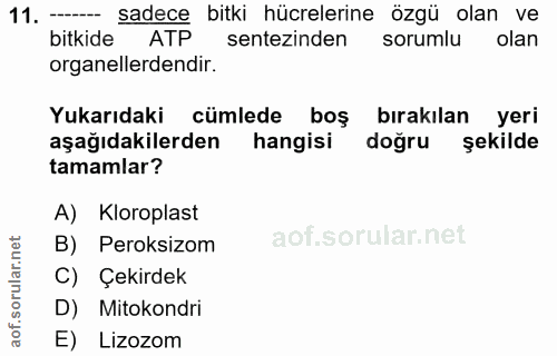 11. soru: - sadece bitki hücrelerine özgü olan ve bitkide ATP sentezinden sorumlu olan organellerdendir. Yukarıdaki cümlede boş…