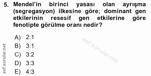 5. soru: Mendel'in birinci yasası olan ayrışma (segregasyon) ilkesine göre; dominant gen etkilerinin resesif gen etkilerine gö…