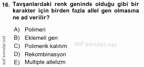 16. soru: Tavşanlardaki renk geninde olduğu gibi bir karakter için birden fazla allel gen olmasına ne ad verilir? A) Polimeri B…