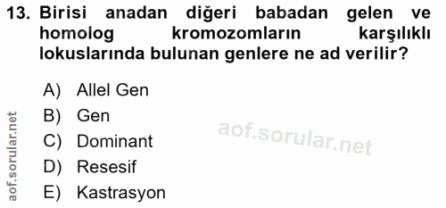13. soru: Birisi anadan diğeri babadan gelen ve homolog kromozomların karşılıklı lokuslarında bulunan genlere ne ad verilir? A)…