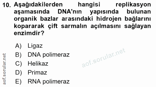 10. soru: Aşağıdakilerden hangisi replikasyon aşamasında • DNA'nın yapısında bulunan organik bazlar arasındaki hidrojen bağları…