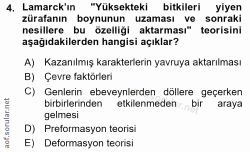 4. soru: Lamarck'ın "Yüksekteki bitkileri yiyen zürafanın boynunun uzaması ve sonraki nesillere bu özelliği aktarması" teorisi…