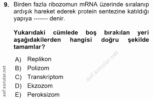 9. soru: Birden fazla ribozomun mRNA üzerinde sıralanıp ardışık hareket ederek protein sentezine katıldığı yapıya --- denir. Y…