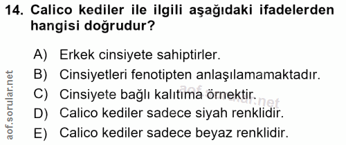 14. soru: Calico kediler ile ilgili aşağıdaki ifadelerden hangisi doğrudur? A) Erkek cinsiyete sahiptirler. B) Cinsiyetleri fen…