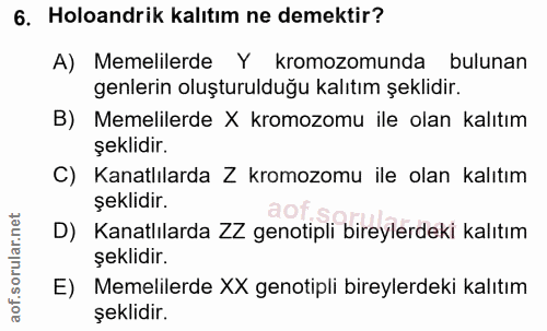 6. soru: Holoandrik kalıtım ne demektir? A) Memelilerde Y kromozomunda bulunan genlerin oluşturulduğu kalıtım şeklidir. B) Mem…