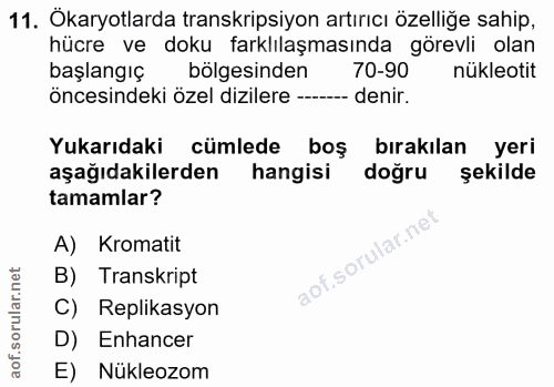 11. soru: Ökaryotlarda transkripsiyon artırıcı özelliğe sahip, hücre ve doku farklılaşmasında görevli olan başlangıç bölgesinde…