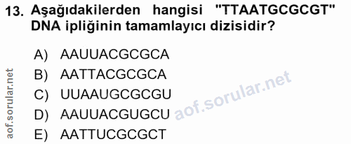 13. soru: Aşağıdakilerden hangisi "TTAATGCGCGT" DNA ipliğinin tamamlayıcı dizisidir? A) AAUUACGCGCA B) AATTACGCGCA D) AAuuacguG…