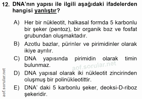 12. soru: DNA'nın yapısı ile ilgili aşağıdaki ifadelerden hangisi yanlıştır? A) Her bir nükleotit, halkasal formda 5 karbonlu b…