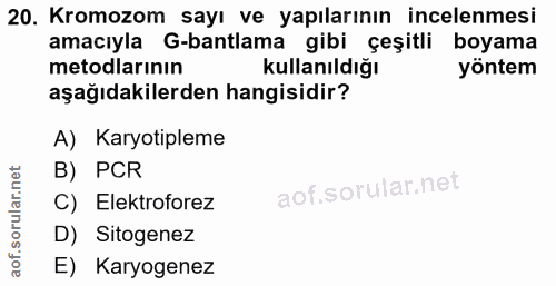 20. soru: Kromozom sayı ve yapılarının incelenmesi amacıyla G-bantlama gibi çeşitli boyama metodlarının kullanıldığı yöntem aşa…