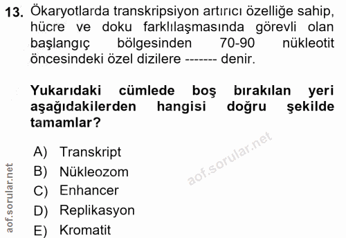 13. soru: Ökaryotlarda transkripsiyon artırıcı özelliğe sahip, hücre ve doku farklılaşmasında görevli olan başlangıç bölgesinde…