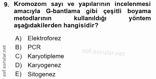 9. soru: Kromozom sayı ve yapılarının incelenmesi amacıyla G-bantlama gibi çeşitli boyama metodlarının Kullanıldığı yöntem aşa…
