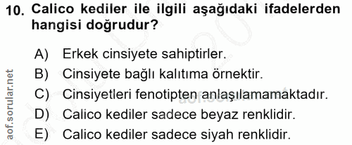 10. soru: Calico kediler ile ilgili aşağıdaki ifadelerden hangisi doğrudur? A) Erkek cinsiyete sahiptirler. B) Cinsiyete bağlı…
