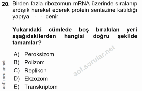 20. soru: Birden fazla ribozomun mRNA üzerinde sıralanıp ardışık hareket ederek protein sentezine katıldığı yapıya ---_- denir.…