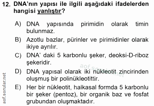 12. soru: DNA'nın yapısı ile ilgili aşağıdaki ifadelerden hangisi yanlıştır? A) DNA yapısında pirimidin olarak timin bulunmaz.…