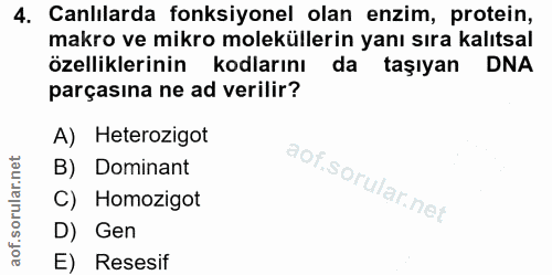4. soru: Canlılarda fonksiyonel olan enzim, protein, makro ve mikro moleküllerin yanı sıra kalıtsal özelliklerinin kodlarını d…