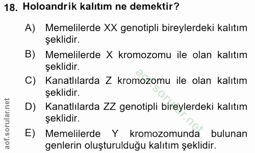 18. soru: Holoandrik kalıtım ne demektir? A) Memelilerde XX genotipli bireylerdeki kalıtım şeklidir. B) Memelilerde X kromozomu…