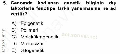 5. soru: Genomda kodlanan genetik bilginin dış faktörlerle fenotipe farklı yansımasına ne ad verilir? A) Epigenetik B) Polimer…