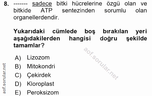 8. soru: --- sadece bitki hücrelerine özgü olan ve bitkide ATP sentezinden sorumlu olan organellerdendir. Yukarıdaki cümlede b…
