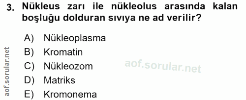 3. soru: Nükleus zarı ile nükleolus arasında kalan boşluğu dolduran sıvıya ne ad verilir? A) Nükleoplasma B) Kromatin C) Nükle…