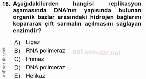 16. soru: Aşağıdakilerden hangisi replikasyon aşamasında DNA'nın yapısında bulunan organik bazlar arasındaki hidrojen bağlarını…