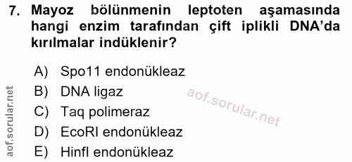 7. soru: Mayoz bölünmenin leptoten aşamasında hangi enzim tarafından çift iplikli DNA'da kırılmalar indüklenir? A) Spo11 endon…