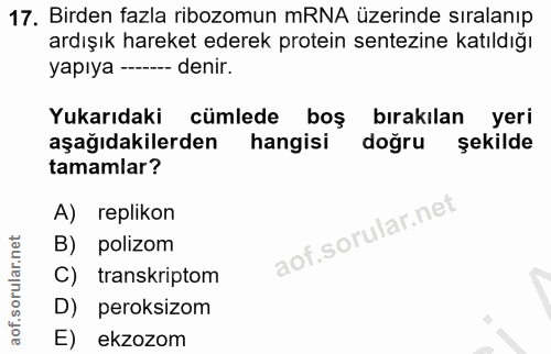 17. soru: Birden fazla ribozomun mRNA üzerinde sıralanıp ardışık hareket ederek protein sentezine katıldığı yapıya ---- denir.…