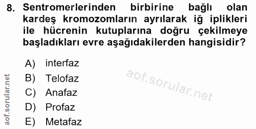 8. soru: Sentromerlerinden birbirine bağlı olan kardeş kromozomların ayrılarak iğ iplikleri ile hücrenin kutuplarına doğru çek…