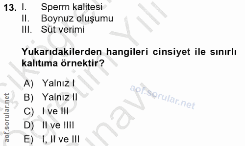 13. soru: I. Sperm kalitesi II. Boynuz oluşumu IlI. Süt verimi Yukarıdakilerden hangileri cinsiyet ile sınırlı kalıtıma örnekti…