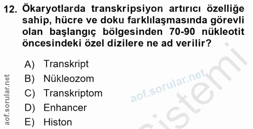 12. soru: Ökaryotlarda transkripsiyon artırıcı özelliğe sahip, hücre ve doku farklılaşmasında görevli olan başlangıç bölgesinde…