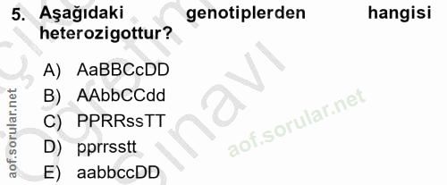 5. soru: Aşağıdaki genotiplerden hangisi heterozigottur? A) AaBBCcDD B) AAbbCCdd C) PPRRssTT D) pprrsstt E) aabbccDD