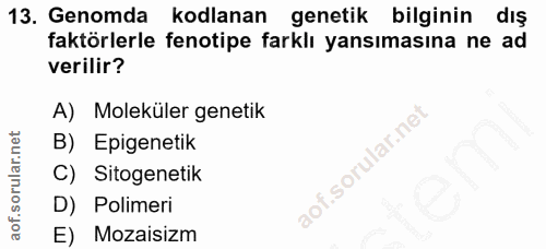 13. soru: Genomda kodlanan genetik bilginin dış faktörlerle fenotipe farklı yansımasına ne ad verilir? A) Moleküler genetik B)…