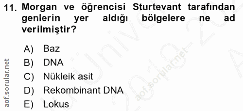 11. soru: Morgan ve öğrencisi Sturtevant tarafindan genlerin yer aldığı bölgelere ne ad verilmiştir? A) Baz B) DNA Nükleik asit…