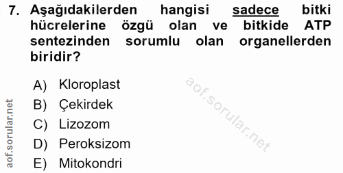 7. soru: Aşağıdakilerden hangisi sadece bitki hücrelerine özgü olan ve bitkide ATP sentezinden sorumlu olan organellerden biri…