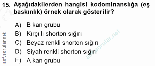15. soru: Aşağıdakilerden hangisi kodominanslığa (eş baskınlık) örnek olarak gösterilir? A) B kan grubu C) Beyaz renkli shorton…