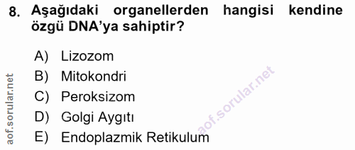8. soru: Aşağıdaki organellerden hangisi kendine özgü DNA'ya sahiptir? A) Lizozom B) Mitokondri C) Peroksizom of. D) Golgi Ayg…