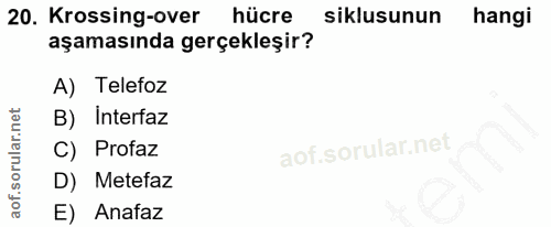 20. soru: Krossing-over hücre siklusunun hangi aşamasında gerçekleşir? A) Telefoz B) Interfaz C) Profaz D) Metefaz E) Anafaz