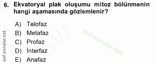 6. soru: Ekvatoryal plak oluşumu mitoz bölünmenin hangi aşamasında gözlemlenir? A) Telofaz B) Metafaz C) Profaz D) Interfaz E)…