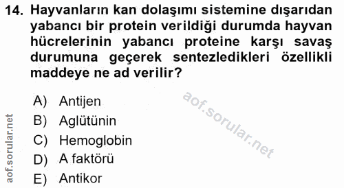 14. soru: Hayvanların kan dolaşımı sistemine dışarıdan yabancı bir protein verildiği durumda hayvan hücrelerinin yabancı protei…