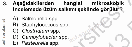 3. soru: Aşağıdakilerden hangisi mikroskobik incelemede üzüm salkımı şeklinde görülür? A) Salmonella spp. B) Staphylococcus sp…