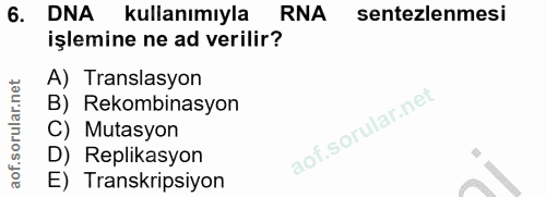6. soru: DNA kullanımıyla RNA sentezlemesi işlemine ne ad verilir? A) Translasyon B) Rekombinasyon C) Mutasyon D) Replikasyon…