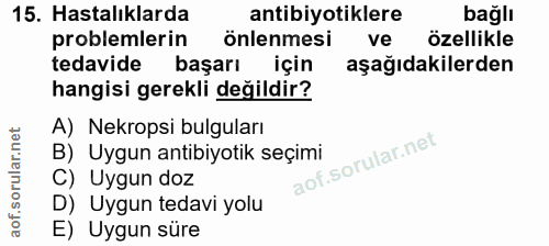 15. soru: Hastalıklarda antibiyotiklere bağlı problemlerin önlenmesi ve özellikle tedavide başarı için aşağıdakilerden hangisi…