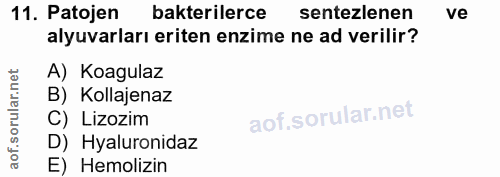 11. soru: Patojen bakterilerce sentezlenen ve alyuvarları eriten enzime ne ad verilir? A) Koagulaz B) Kollajenaz C) Lizozim D)…