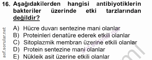 16. soru: Aşağıdakilerden hangisi antibiyotiklerin bakteriler üzerinde etki tarzlarından değildir? A) Hücre duvarı sentezine ma…